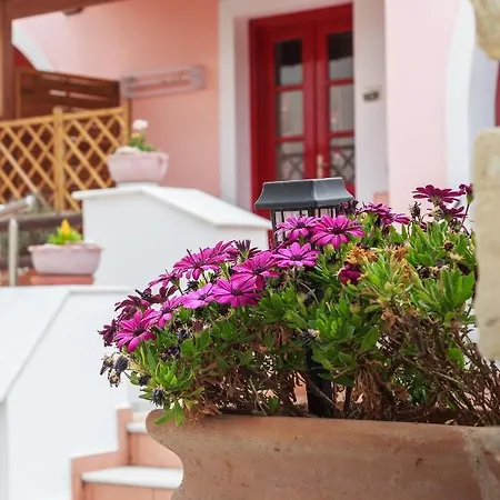 Apartment Chalki - Naxos Khalkion